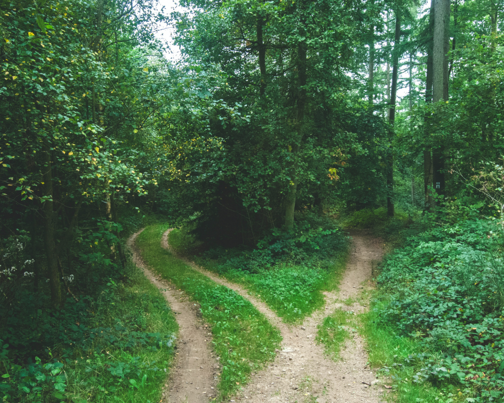 The Flow Of Decisions The In Your Right Mind Podcast With Monique Rhodes