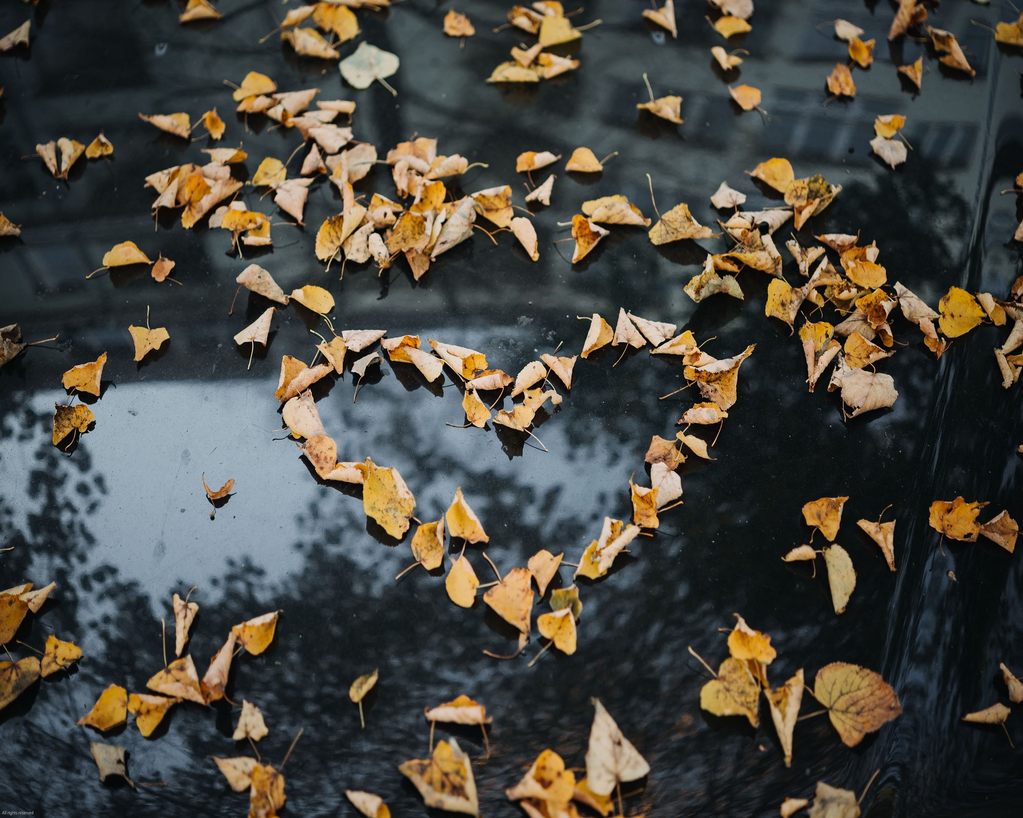 How We Learn To Be Kind To Ourselves In Your Right Mind Podcast With 